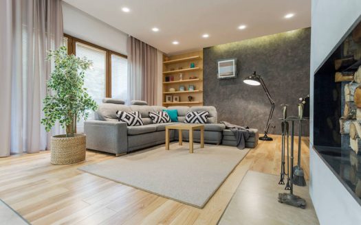 Large Apartment in Downtown